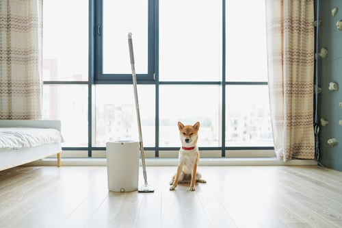 Why Strip and Wax Service Protects Your Floors